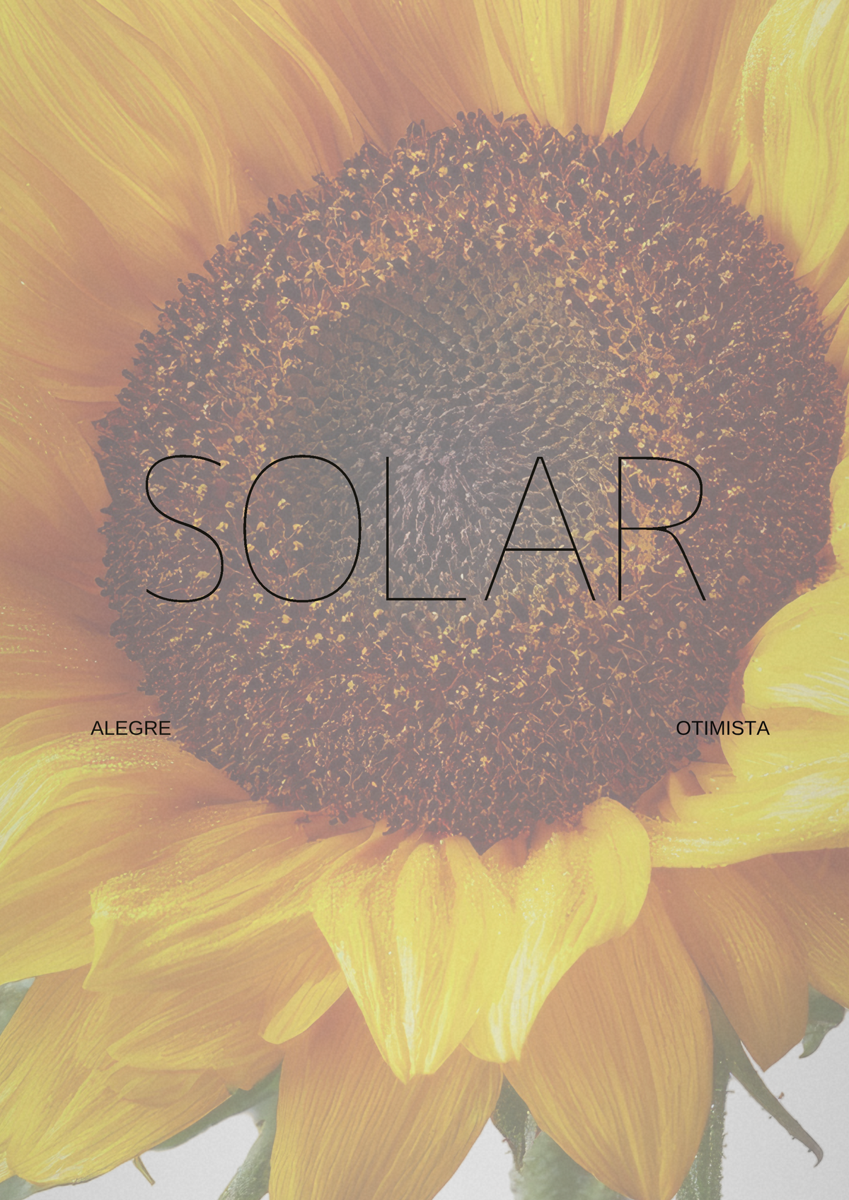SOLAR