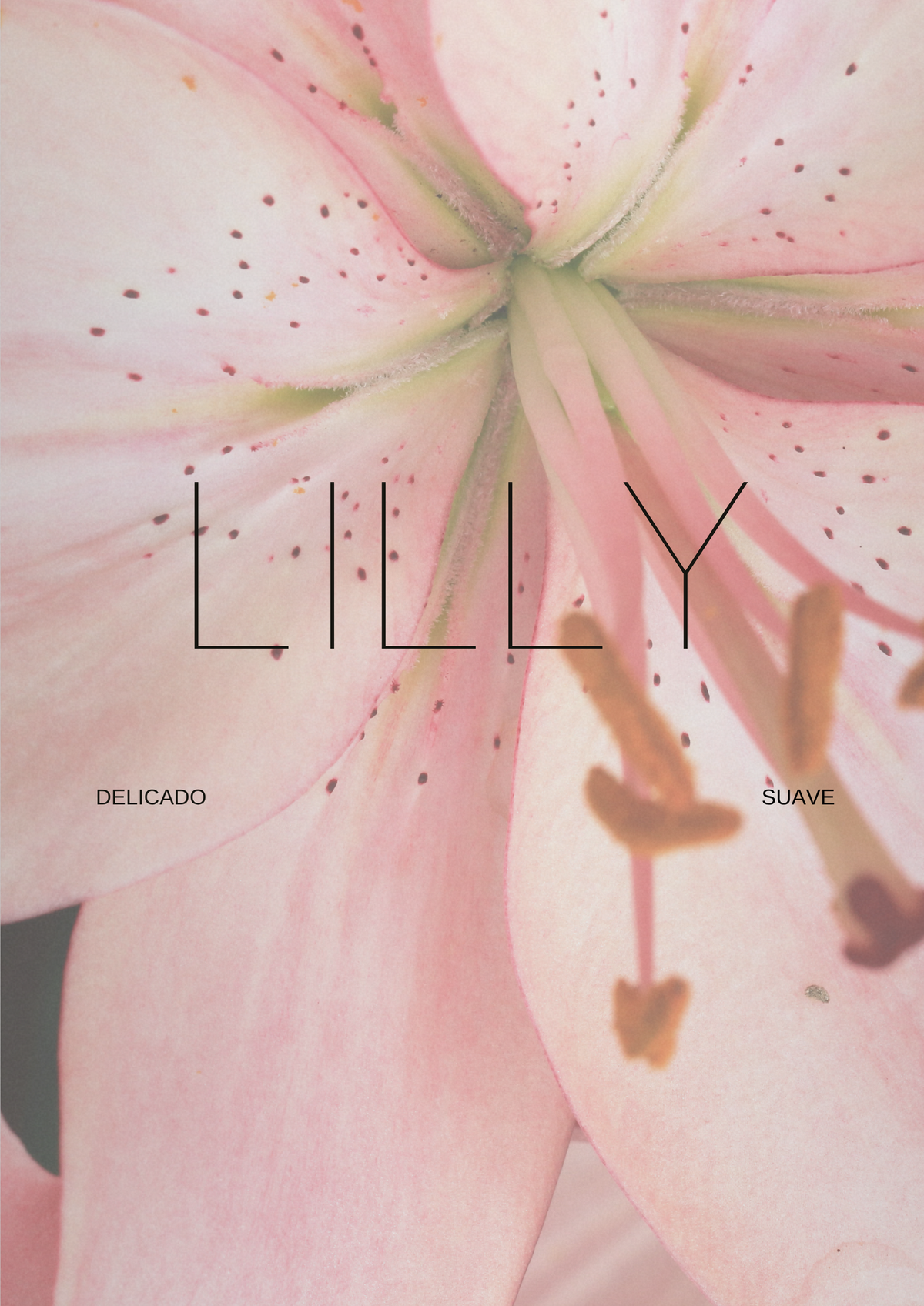 Lilly