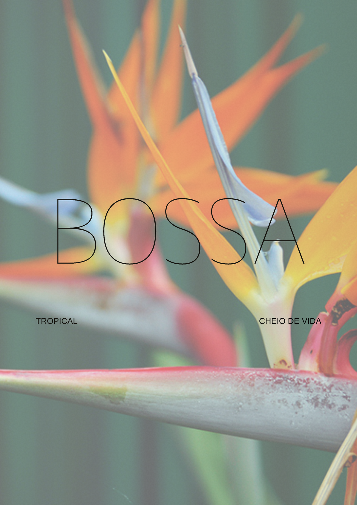 Bossa
