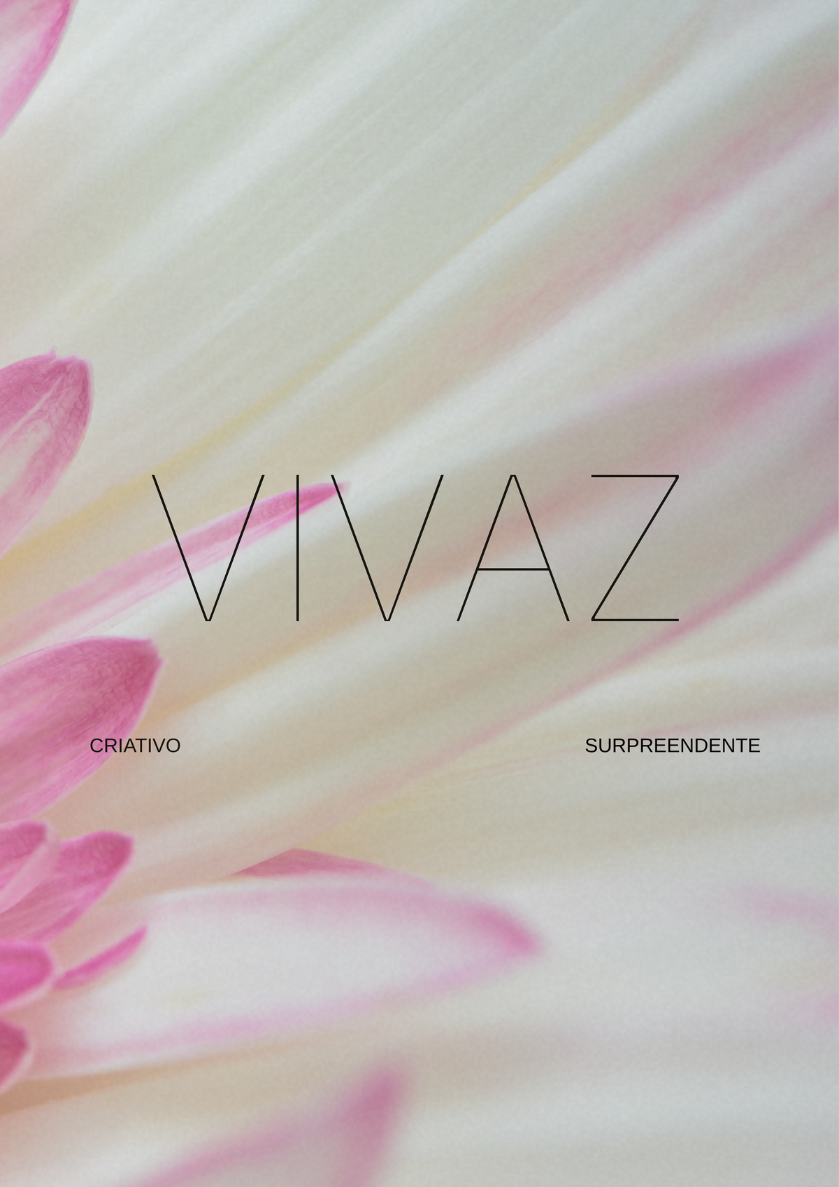Vivaz