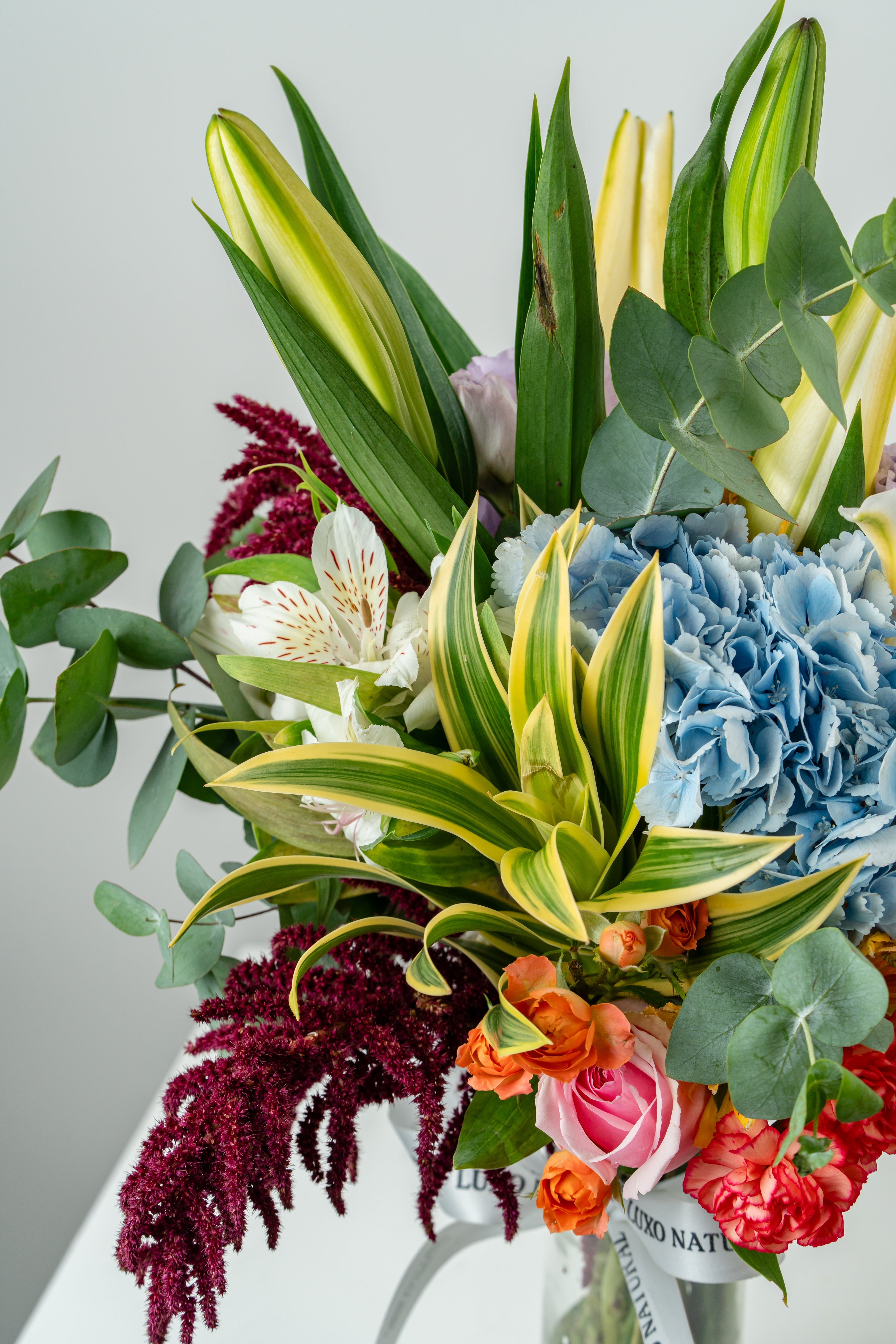 FLORES