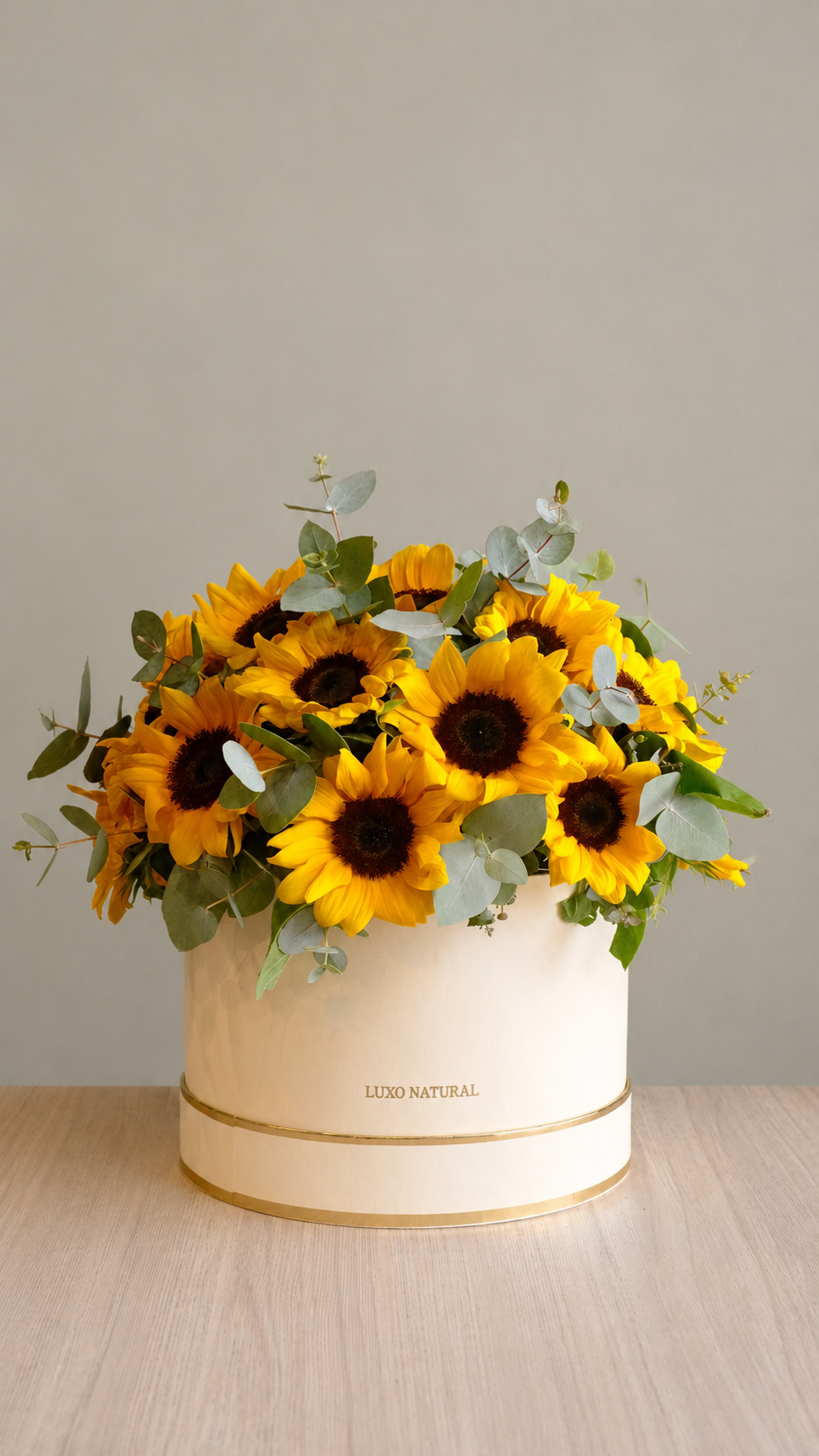 Box Luxo - Solar