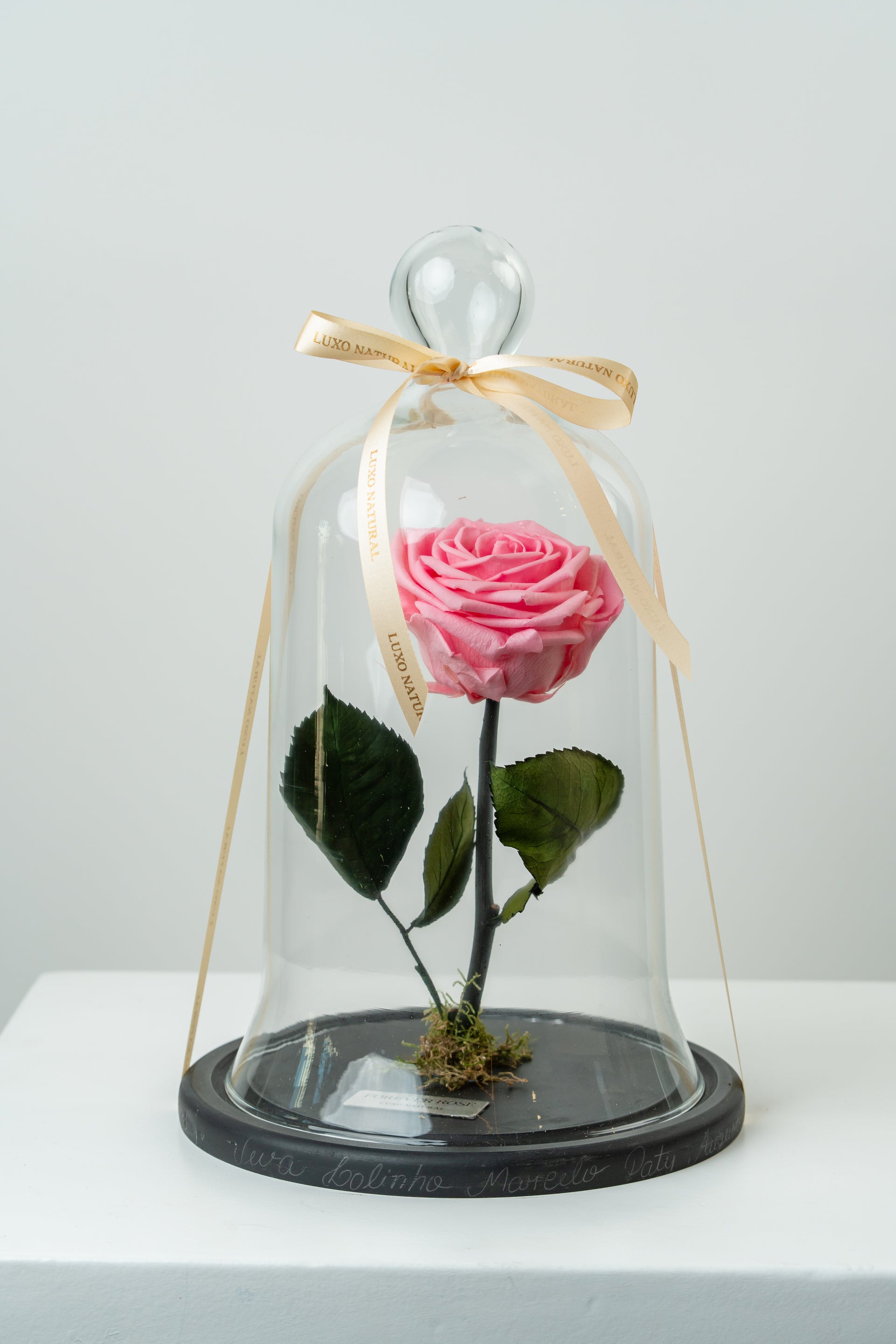 Forever Rose — Rosa Preservada na Cúpula de Vidro | Luxo Natural