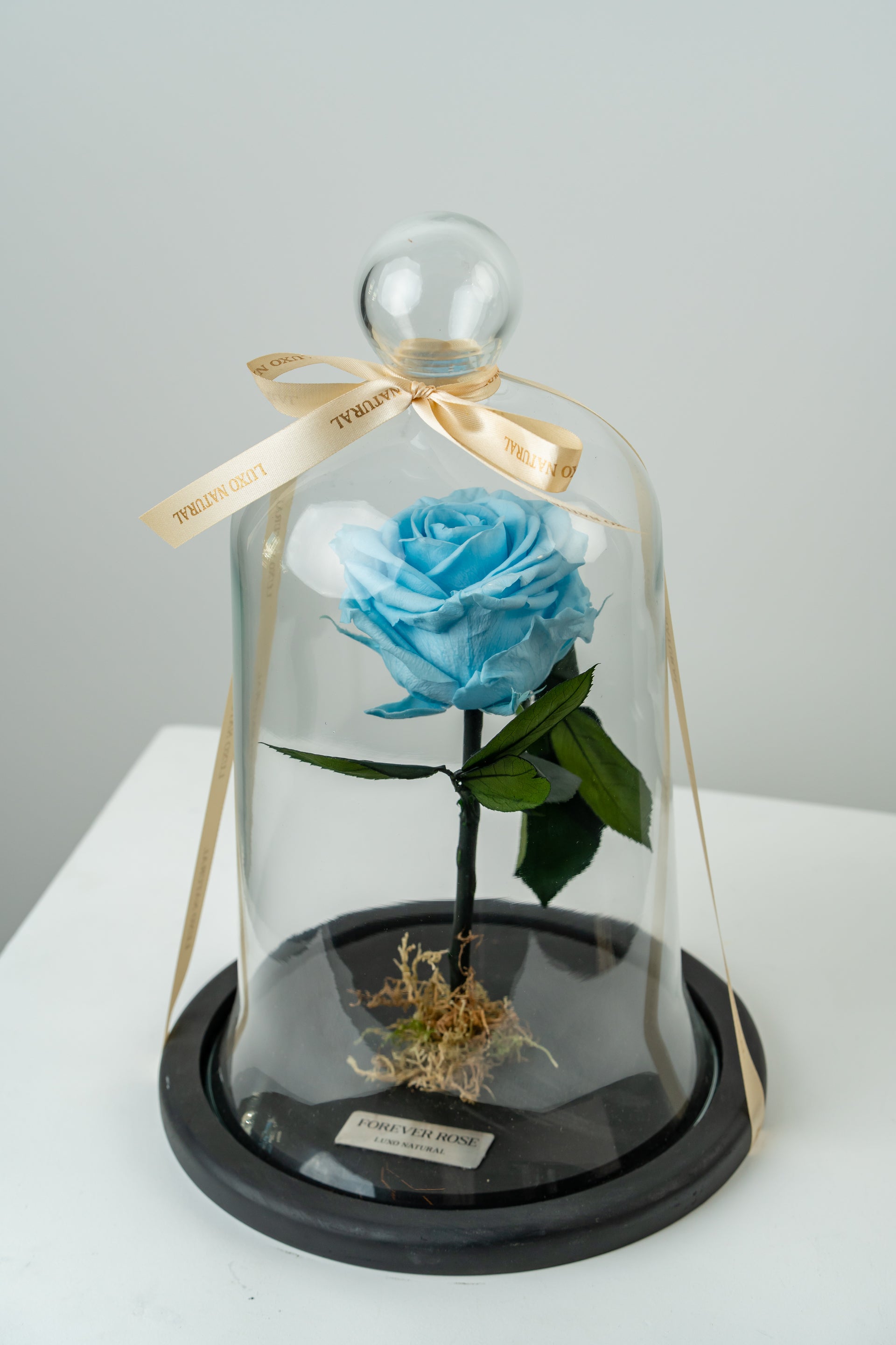 Forever Rose na Box