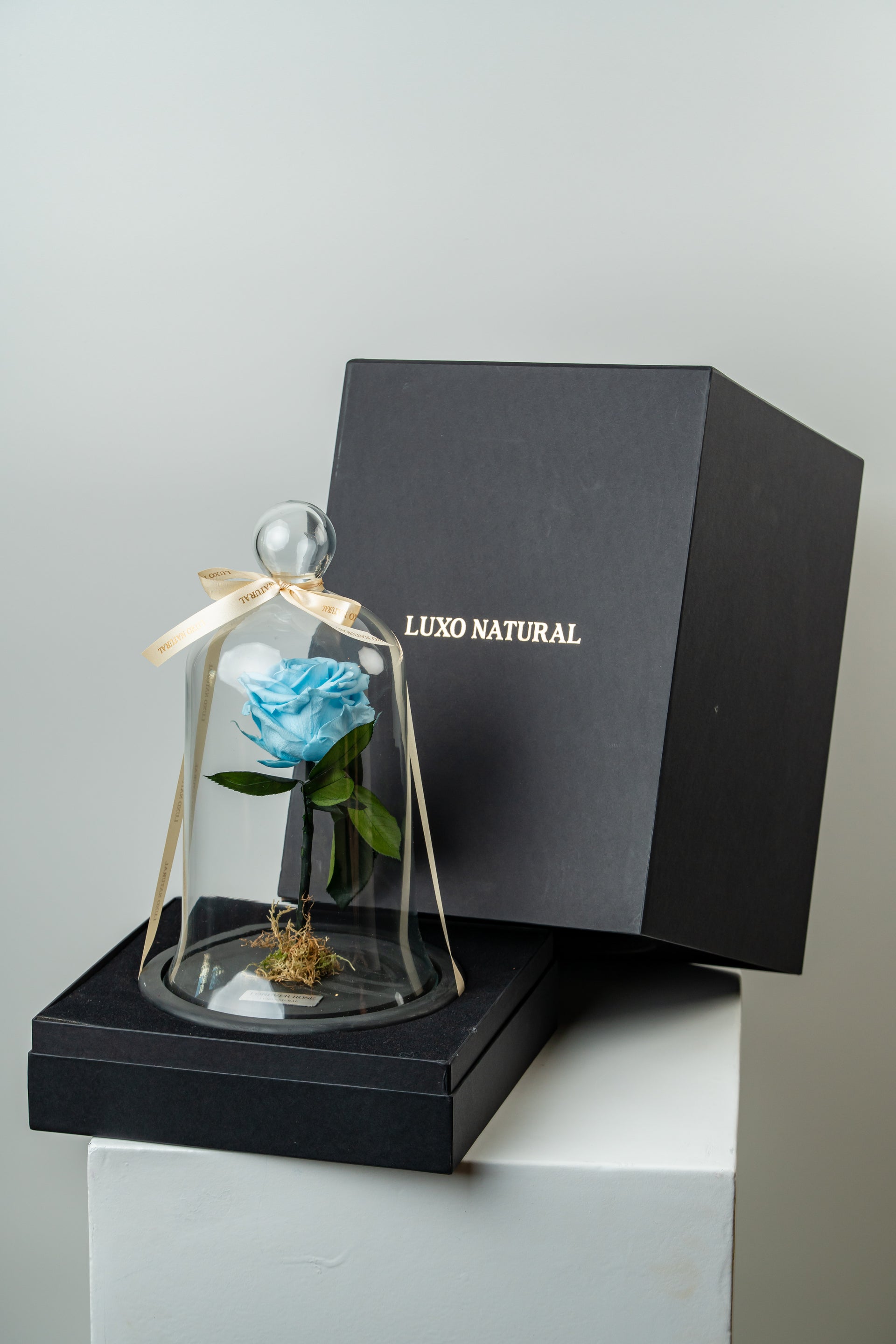Forever Rose na Box — Rosa Preservada em Box Exclusiva | Luxo Natural