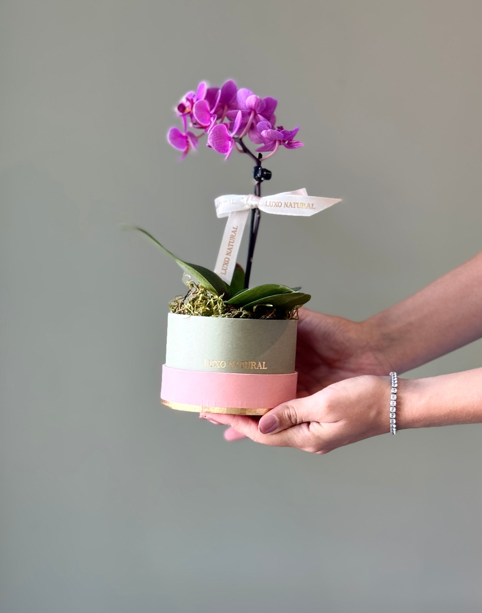 Orquídea na Mini box