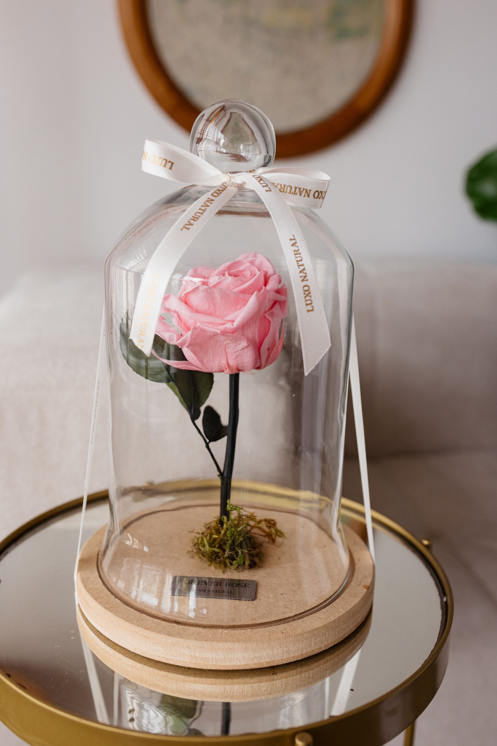 Forever Rose — Rosa Preservada na Cúpula de Vidro | Luxo Natural