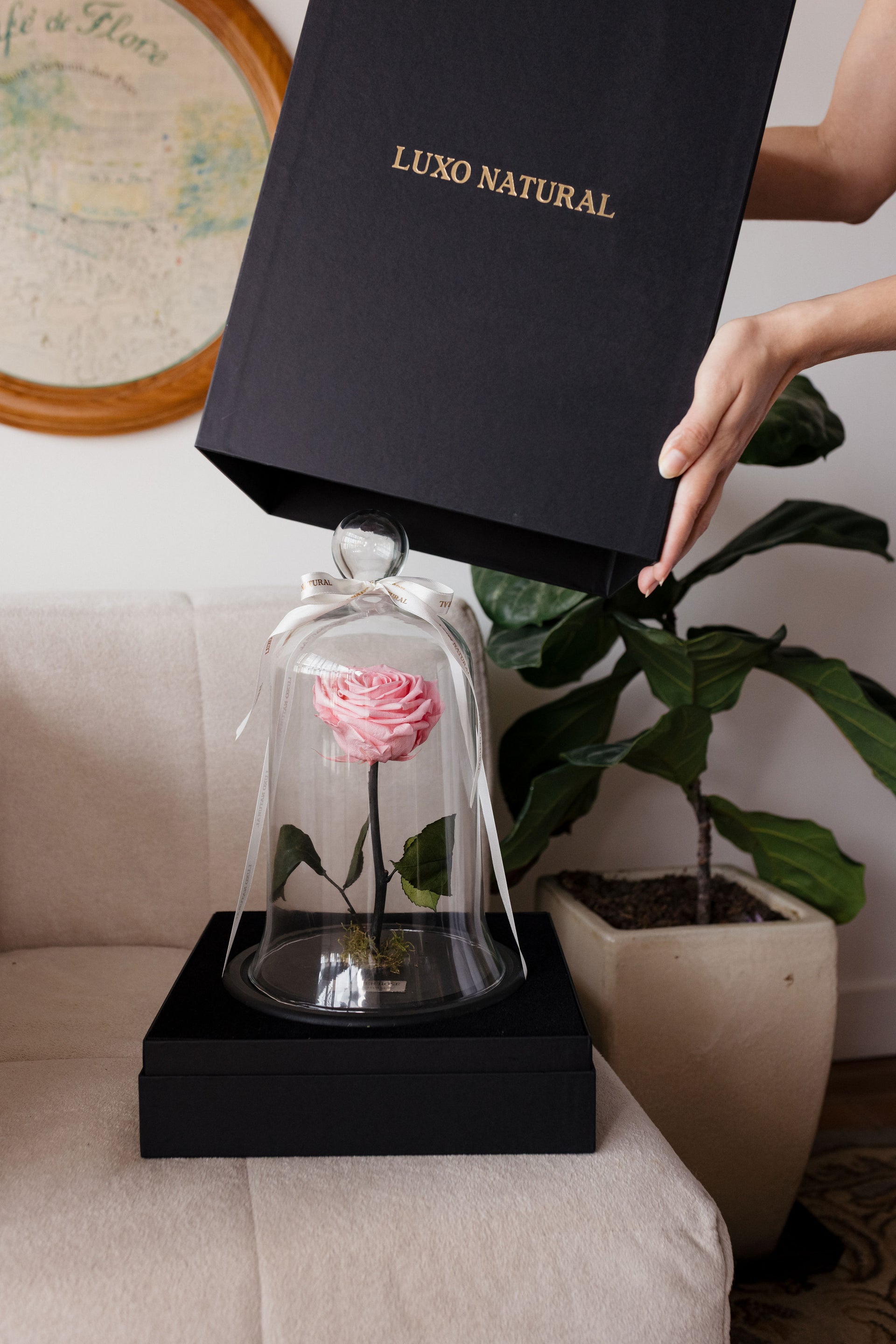 Forever Rose com Caixa Presente — Rosa Preservada Dia das Mães | Luxo Natural