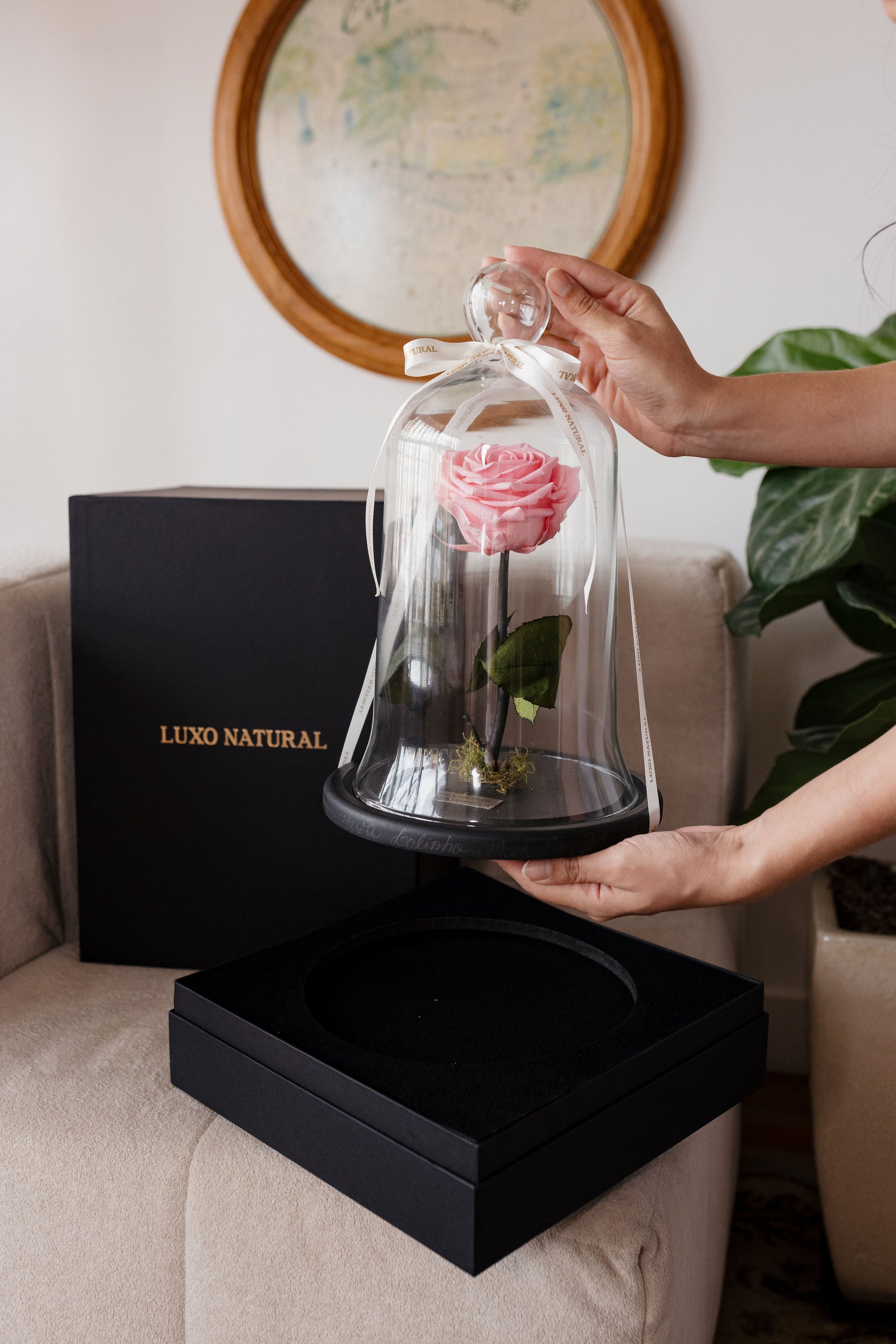 Forever Rose com Caixa Presente — Rosa Preservada Dia das Mães | Luxo Natural