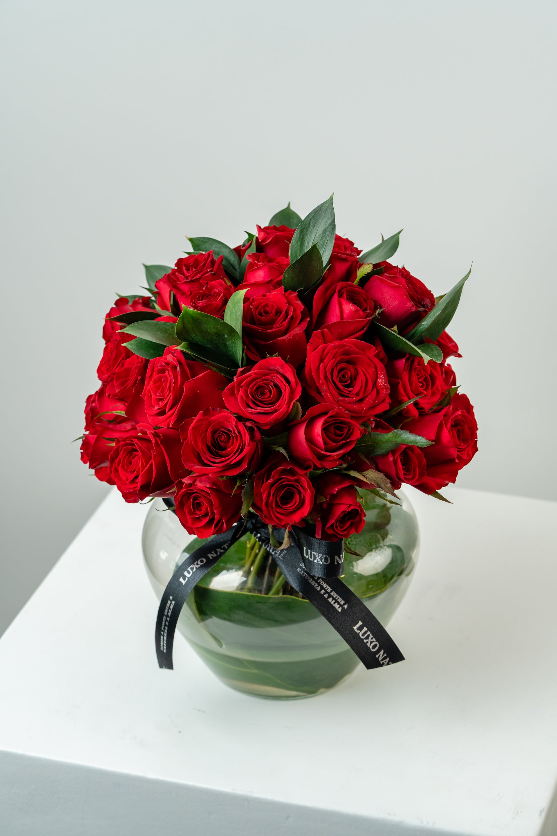 Vaso Roseira de Rosas Vermelhas