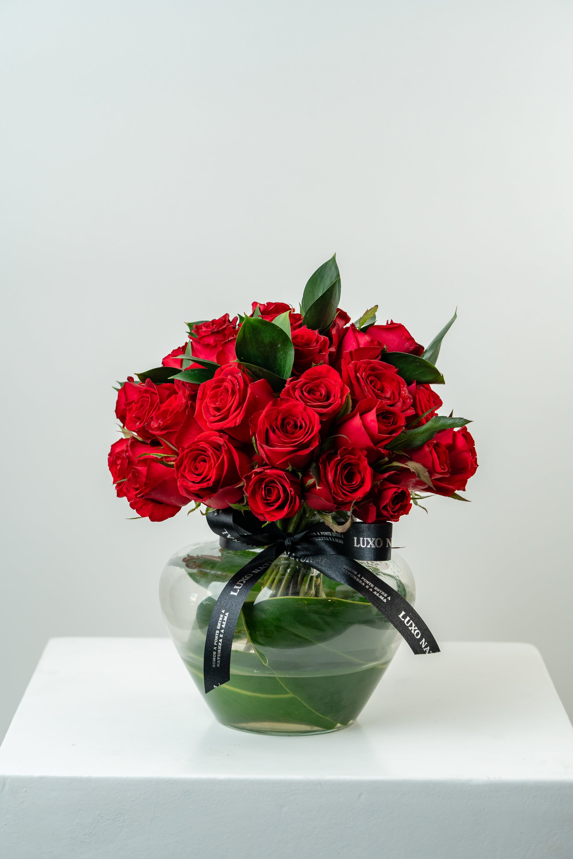Vaso Roseira de Rosas Vermelhas