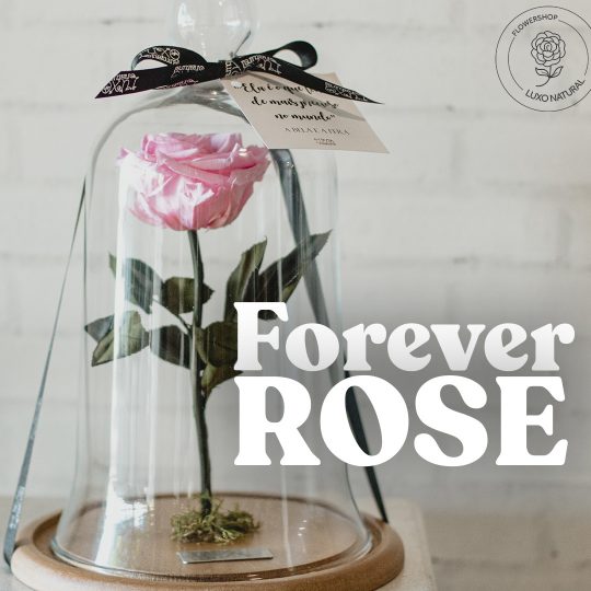 ForeverRose1